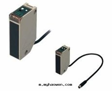 竹(zhú)中(zhōng)傳感(gǎn)器  DL-S100R